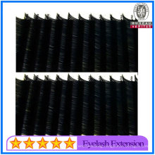 Factory Price High Quality 0.25mm Thickness Eyelashes